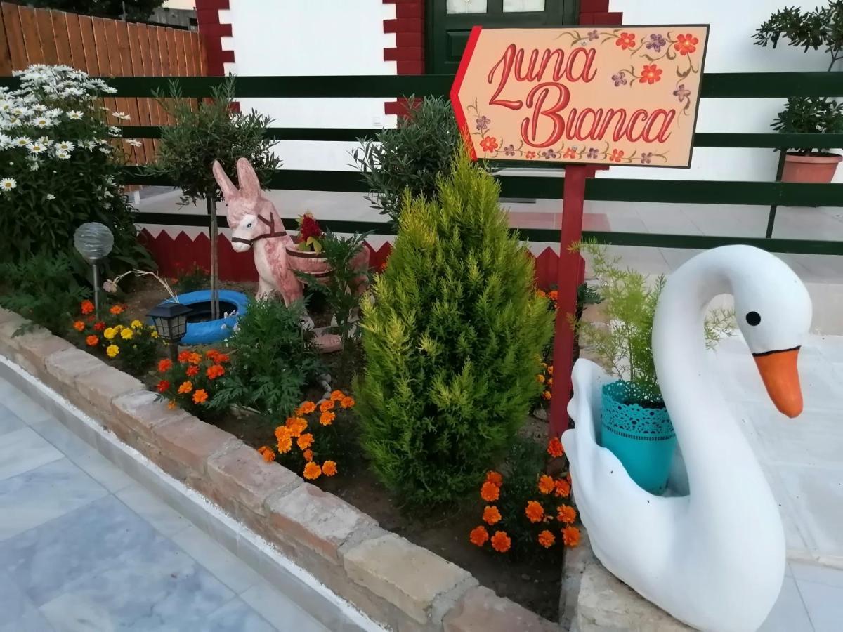 Luna Bianca - Corfu Apartments 외부 사진
